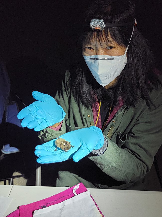a woman holding a bat in her gloved hands