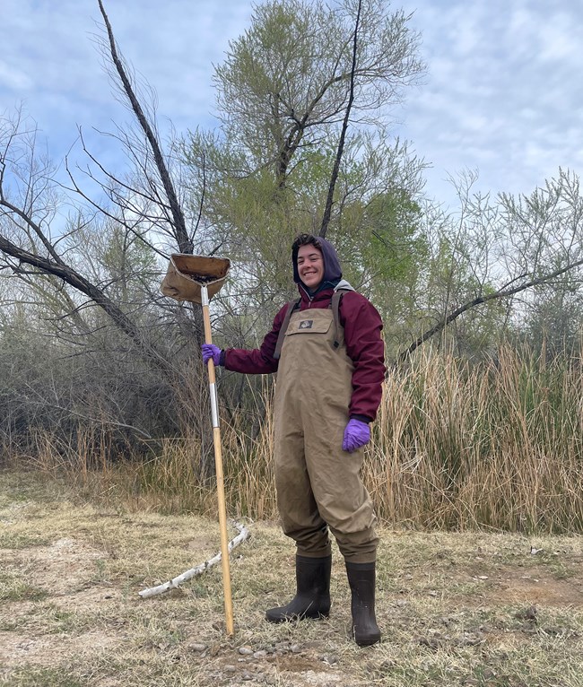 Desert Springs monitoring field work Woman wearing waders and holding a net for collecting stream invertebrates.
