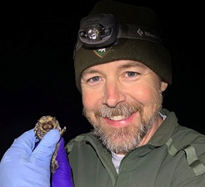 Closeup photo of man wearing hat, headlamp, and NPS jacket and holding a captured bat in his gloved hand.