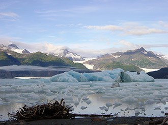 View of Alsek lake from land, huge icebergs in the lake obscure a view of mountains and glaciers.