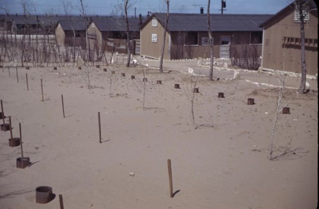 "an arid climate, frequent drought, high winds, severe temperatures, and occasional flooding" - Josiah Gregg's description of the High Plains A period photo of Granada Relocation Center's barracks with a bare and staked garden area in the foreground