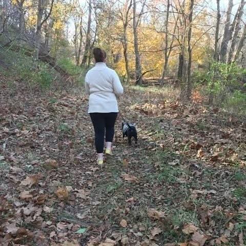 A person walks a leashed dog on a dirt trail