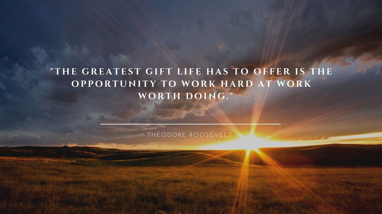 AmberFavorite Quote Photo of a grassy prairie at sunset with text reads "The greatest gift life has to offer is the opportunity to work hard at work worth doing." Theodore Roosevelt