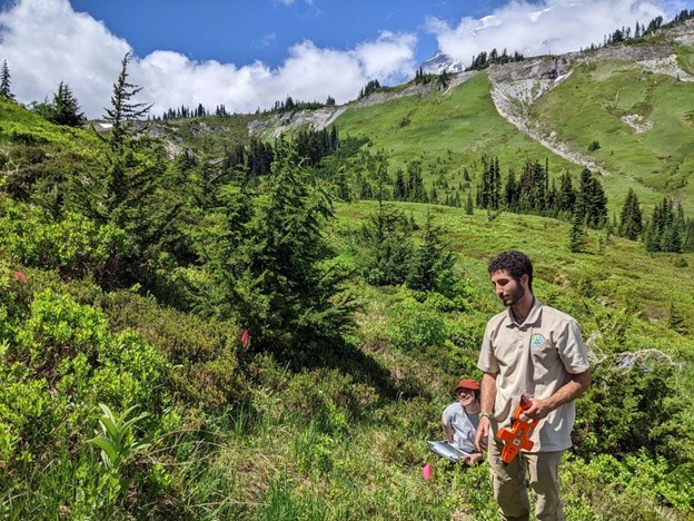 Ameen and his coworker conducting plot measurements Alpine landscape with an individual at a plot conducting measurements