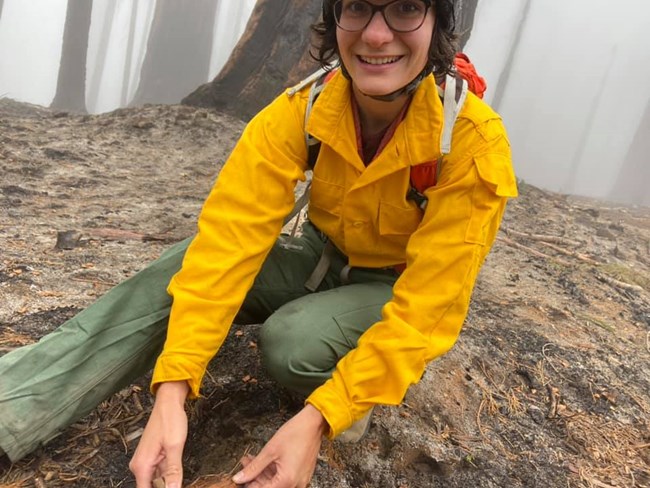 Woman wearing yellow fire shirt and kneeling down on burned ground to look at forest fire effects.