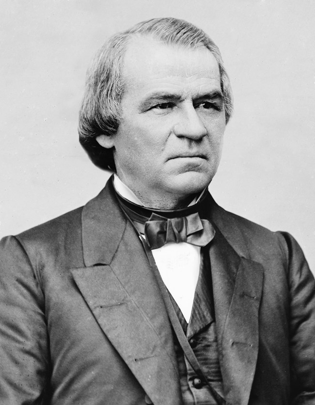 Head and shoulders image of Andrew Johnson