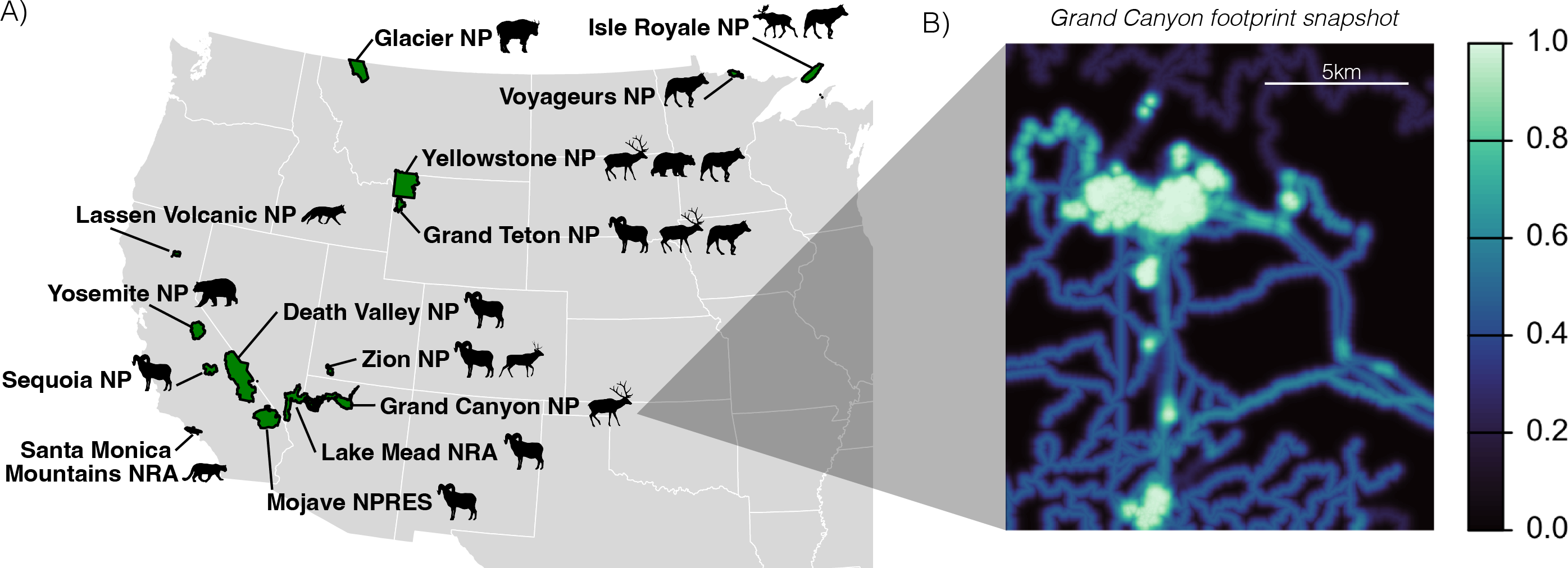 Map with silhouettes of study species next to their park names on the left with a closeup of a sample human footprint index on the right, shown as differently colored areas and tracks on a black background.