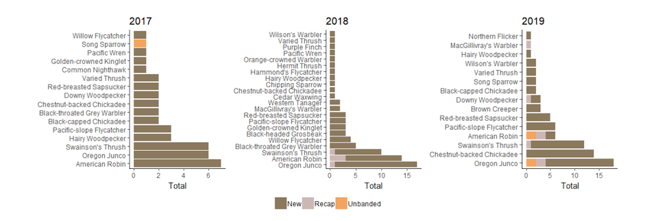 Bar graph showing the number of birds banded in 2017-2019, with common species including Oregon Junco, American Robin, Swainson's Thrush, and Chestnut-backed Chickadee.