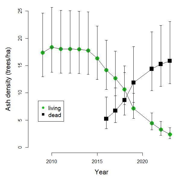 AshTreeDensity_2023 The line graph shows a dramatic decline in living ash starting in 2015, and a consistent increase in dead ash starting in 2015. Further explanation is in the narrative description.
