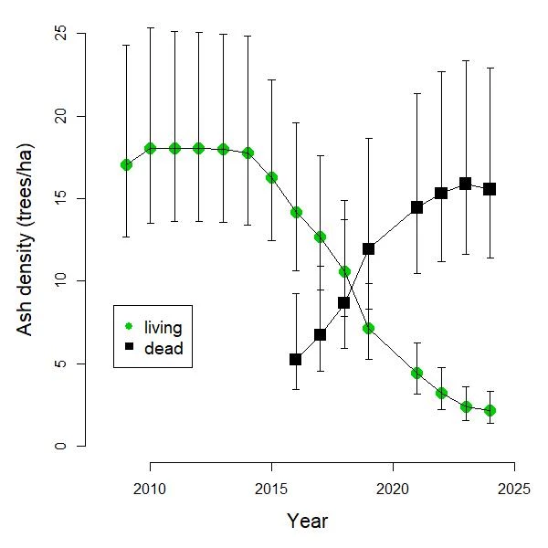 Density of live and dead ash trees from 2009 to 2024 Line graph showing density (trees per hectare) of live ash trees (green circles) and dead ash trees (black squares) in National Capital Region national parks from 2009 to 2024. Refer to narrative figure description for more details.