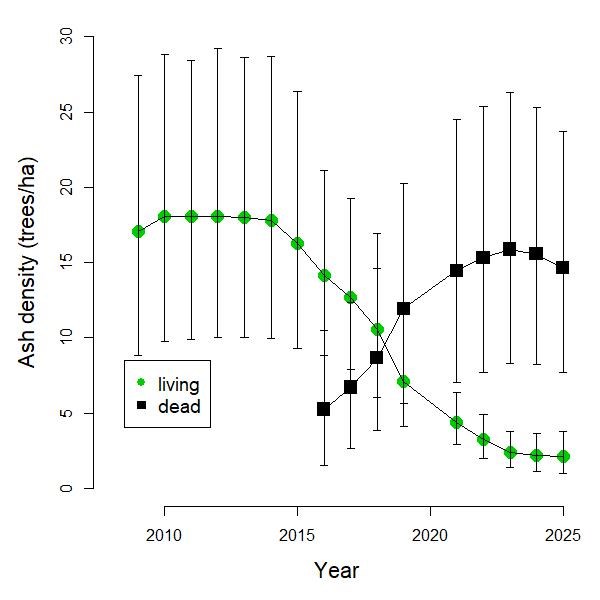 A line graph showing the densities of living and dead ash trees over time. The density of dead ash surpassed the density of living ash in 2018. Peak standing dead ash was in 2023.