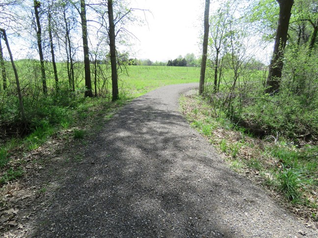 A path curves from the woods into an open prairie.