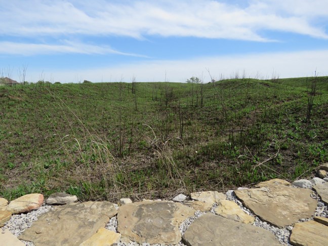 An eroded depression runs down a grass covered hill.