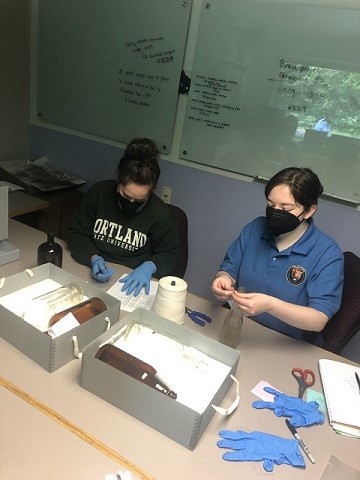 Audrey and Grace processing artifacts
