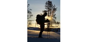 Man silhouetted against a sunset with snow and trees