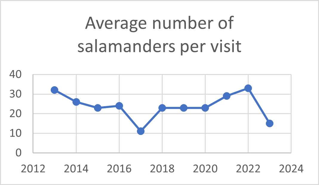 Average Number of Salamanders Per Visit 2013 to 2023 scatterplot graph showing the average number of salamanders found per visit for years from 2013 to 2023