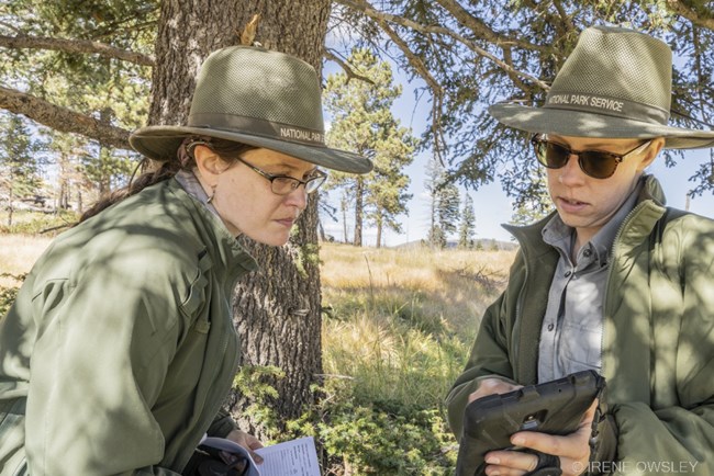 BAND-VALL - Mallory-Anna Two field scientists look at data on a tablet.