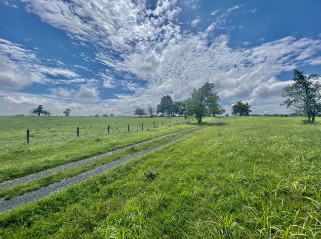 A post-and-wire fence parallels a two-track gravel road, both reaching across a grassy field towards a handful of trees and a blue sky ruffled with clouds.
