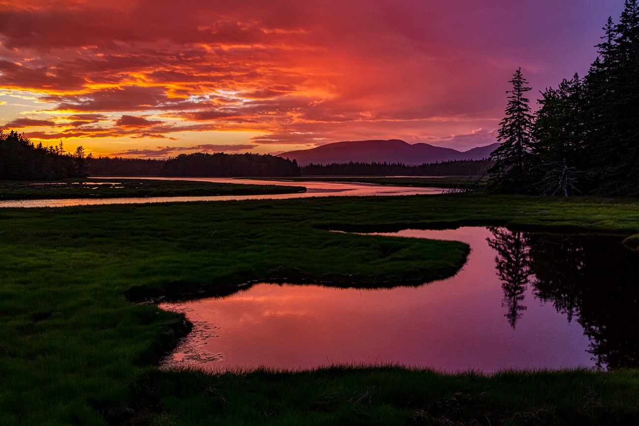 Sunset view of open water, marsh plants, trees and mountains in distance