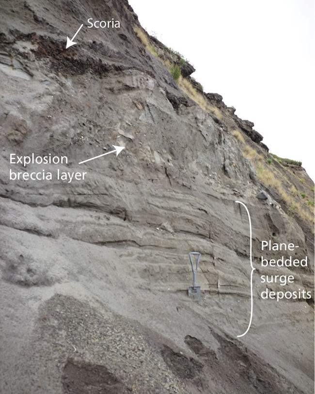 photo of bedded sediments exposed in a bluff