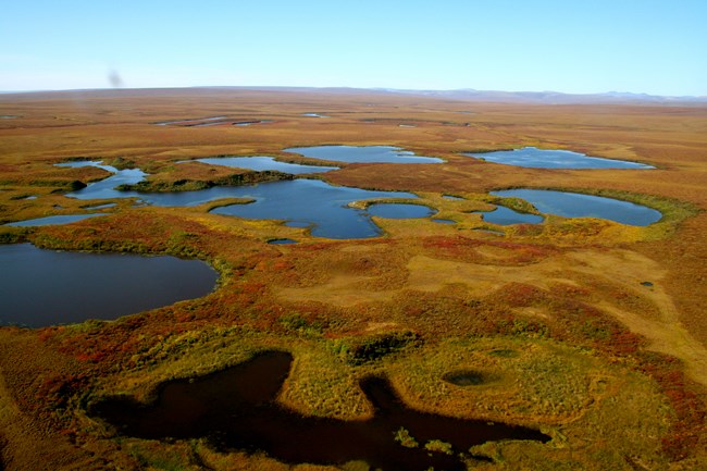 Aerial view of tundra landscape in fall.