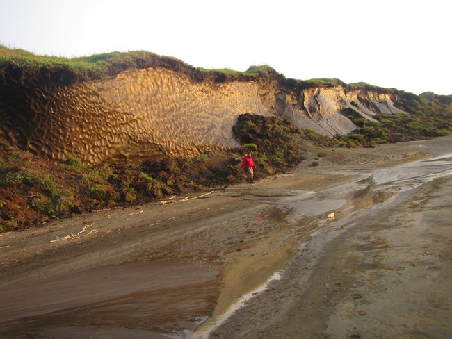 Exposed permafrost bank along the coast.