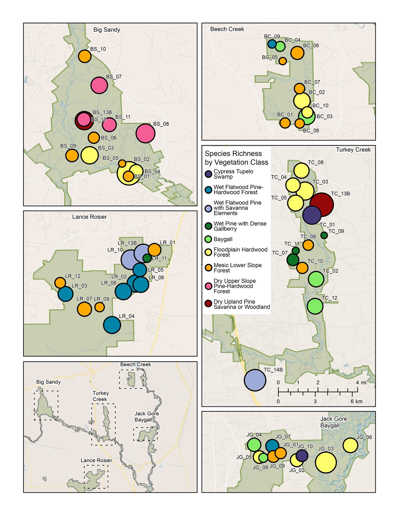 Plant species richness by vegetation class in I&M plots in Big Thicket map of long-term plot locations showing vegetation class and species richness