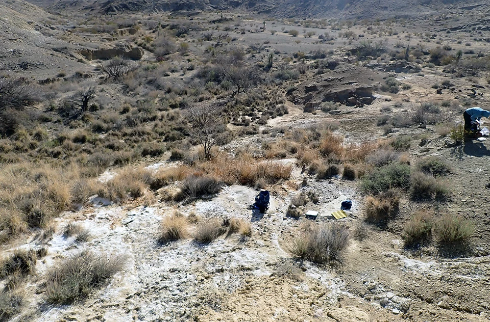 Solis Spring Overview of a meandering desert wash with mineral deposits coating large areas of its bank. Dried grasses and shrubs dot the landscape and a few larger trees grow in the drainage.