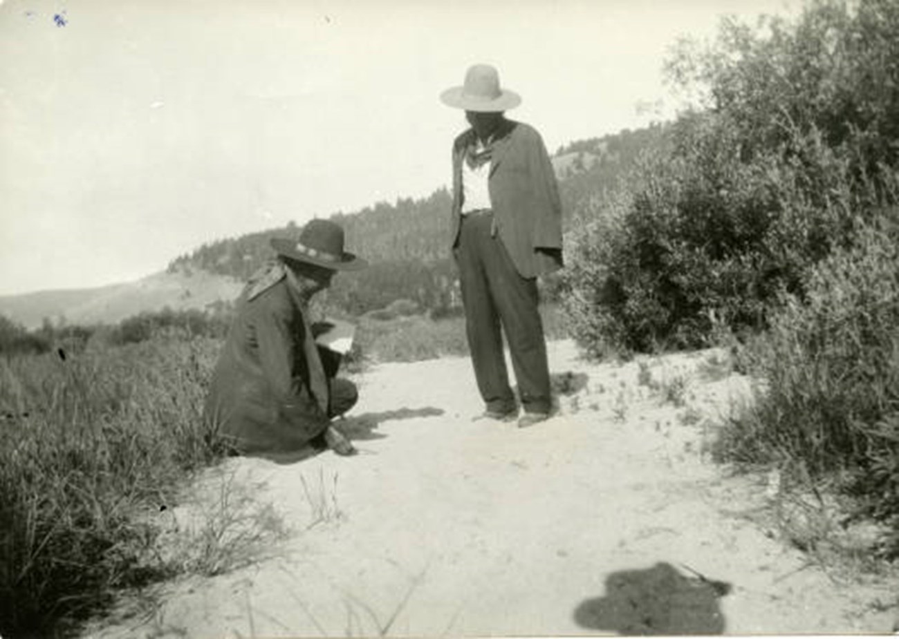 Two men studying the ground Two men studying the ground