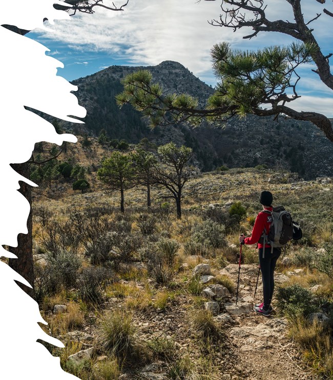 a hiker stops under a tree to take in the view of a mountain in the distance