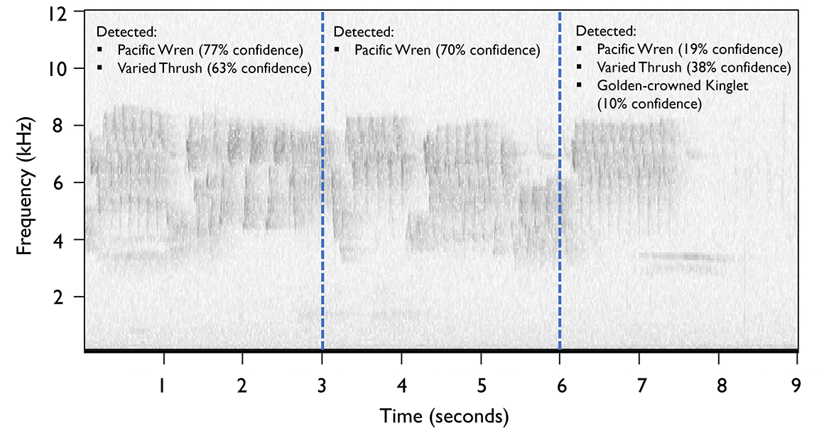 BIRDnet results BIRDnet results. A spectrogram showing which birds were detected and with what confidence.