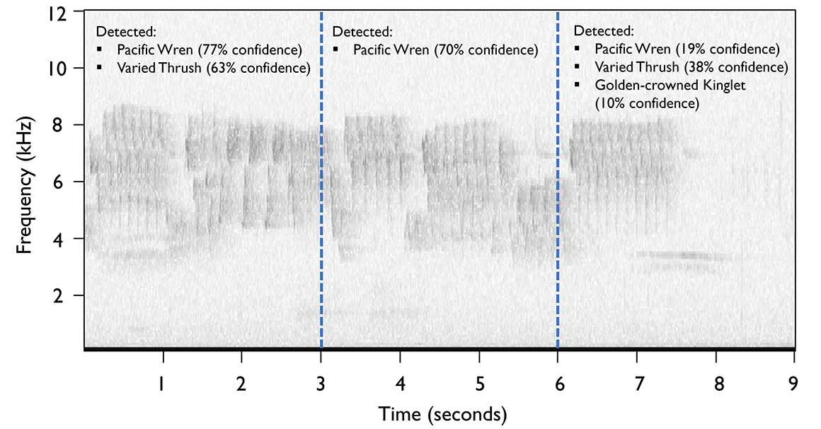 BIRDnet results BIRDnet results. A spectrogram showing which birds were detected and with what confidence.