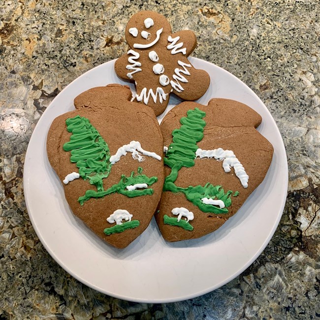 A plate of cookies cut out in the shape of NPS arrowheads and a gingerbread man.