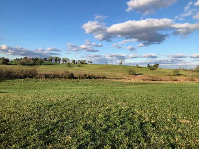 Brandy Station Battlefield Rolling grassy hills with scattered trees and an open blue sky with clouds