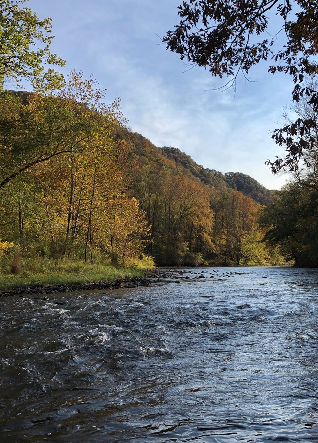 Orange and yellow fall colors adorn the river banks along a swiftly moving river