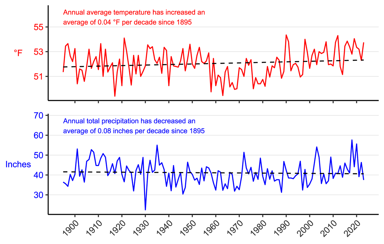 Figure 3. Line graph of annual average temperature (°F) and annual total precipitation (in.) for Mercer and Summers counties, WV from 1895–2023 showing an increase in annual average temperature and a decrease in annual total precipitation. Figure 3. Line graph of annual average temperature (°F) and annual total precipitation (in.) for Mercer and Summers counties, WV from 1895–2023 showing an increase in annual average temperature and a decrease in annual total precipitation.