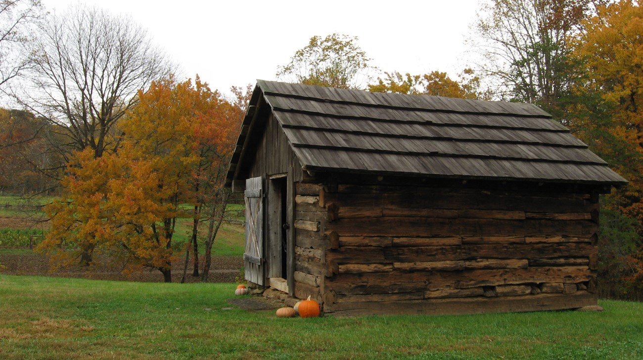 One-room wooden cabin