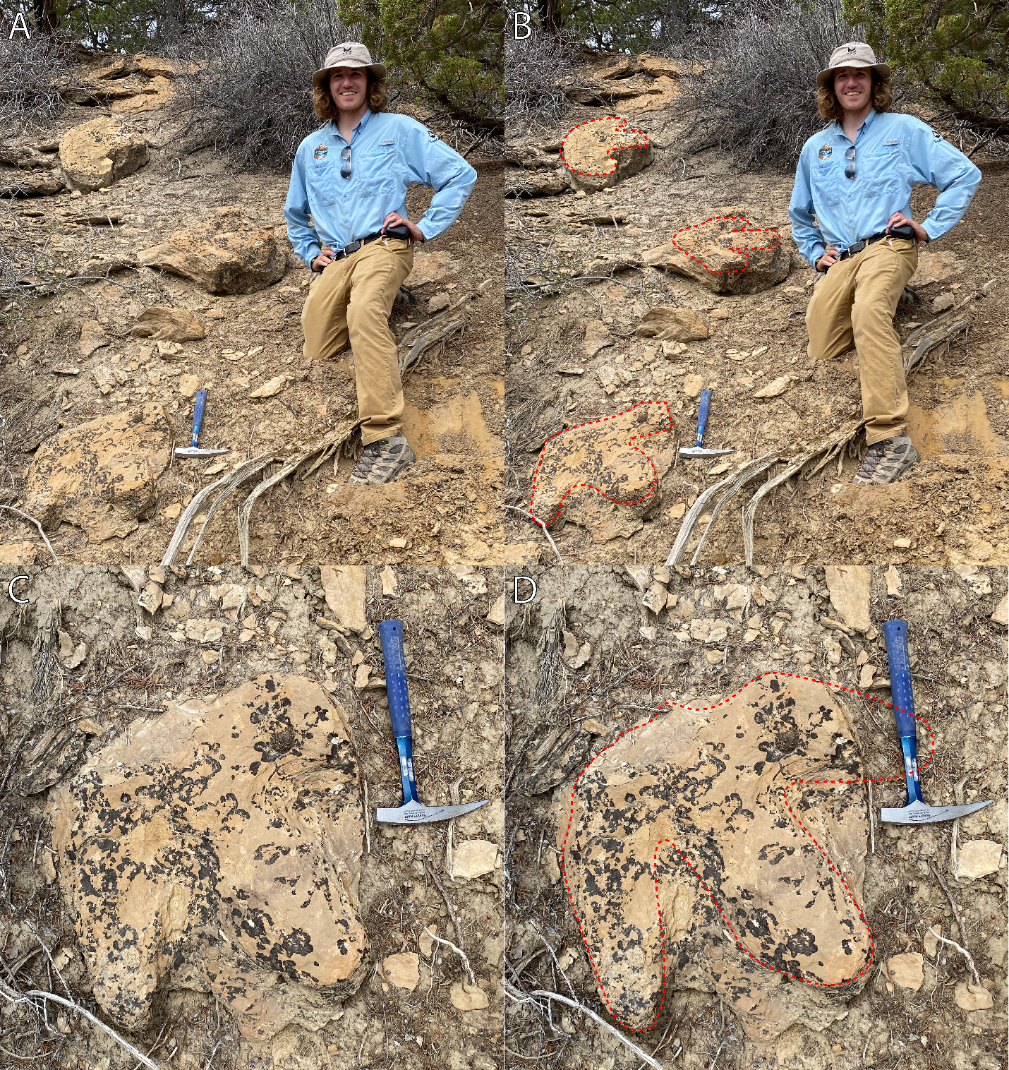 two images of a person standing on a slope with fossil dinosaur tracks