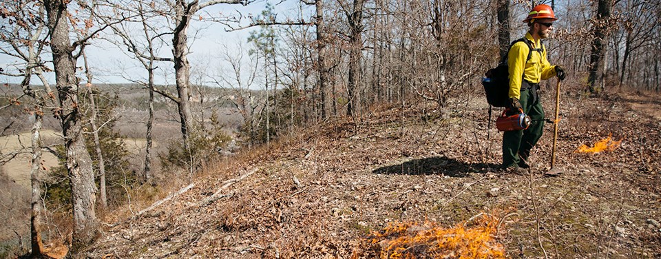 A firefighter at Buffalo National River conducts ignites the March 2019 prescribed burn. A firefighter holds a driptorch and a handtool while a small fire burns dried leaves nearby.