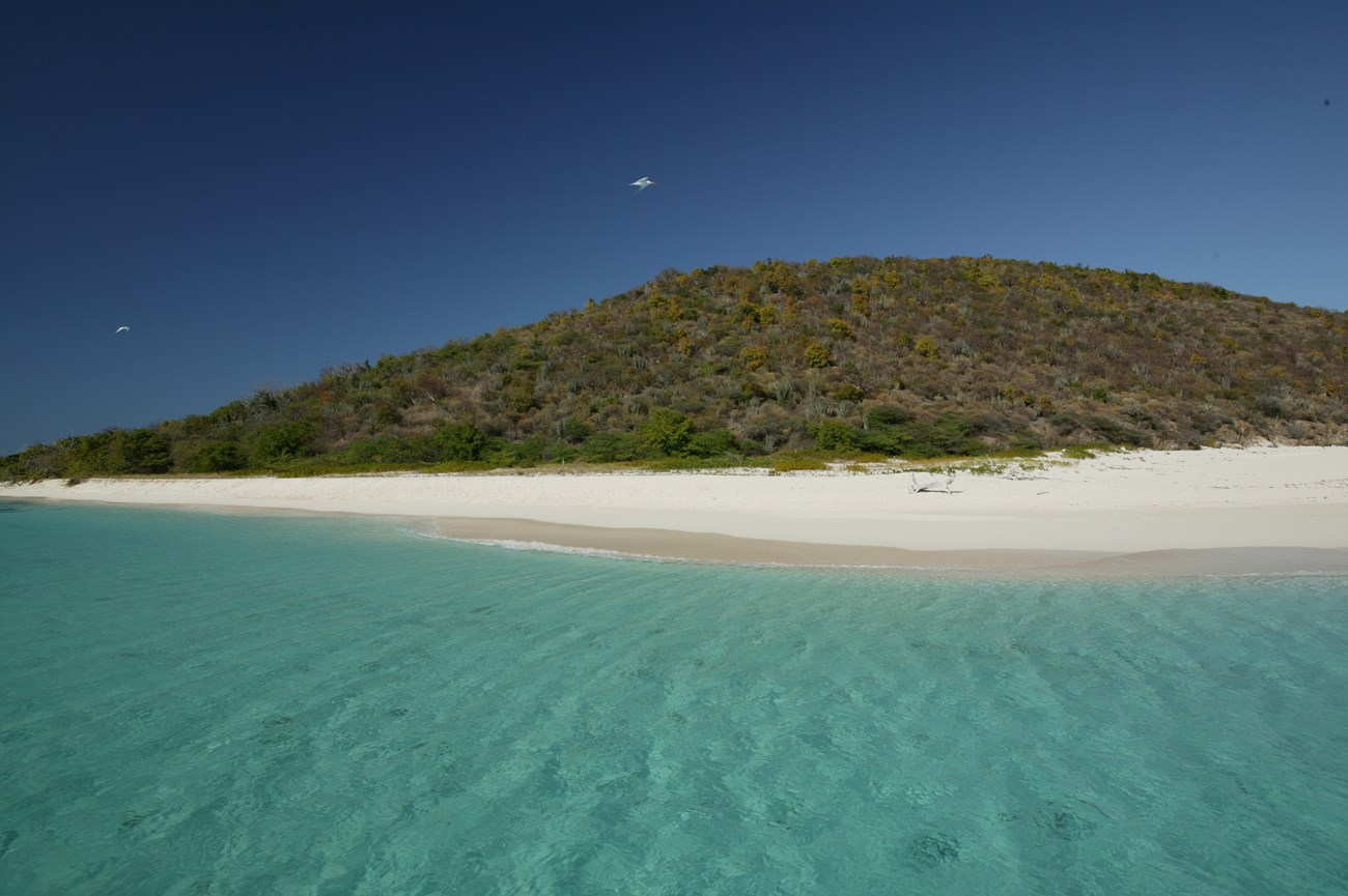 Beach with clear blue water