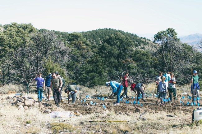 Students from Brigham Young University conducting research at Great Basin National Park in a field area.