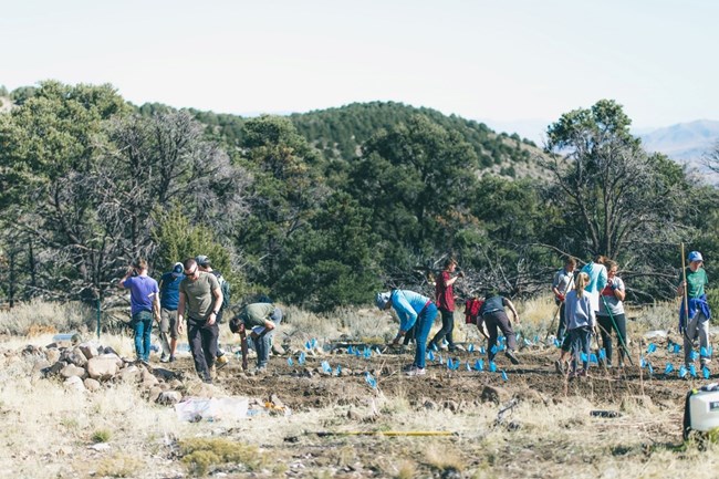 BYU researchers Students from Brigham Young University conducting research at Great Basin National Park in a field area.