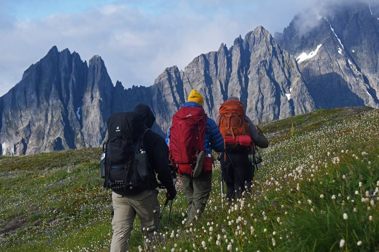 Backpacking North Cascades Three hikers walk through a meadow with mountains in the distance.