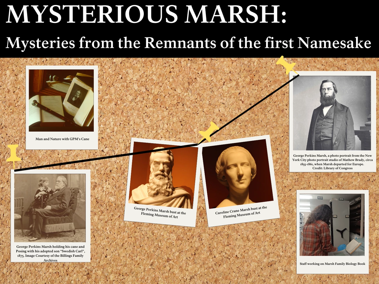 Mysterious Marsh Exhibit title reads "Mysterious Marsh: Mysteries from the Remnants of the first Namesake", below title is a pinboard with 6 images found in exhibit. book and cane, GPM and cane, GPM statue, Caroline Crane statue, GPM portrait, and staff working on book.