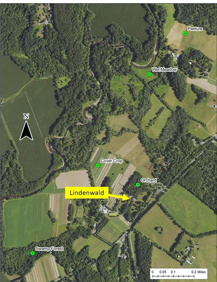 Map of the location of the five bat recording stations (green dots) around Lindenwald.