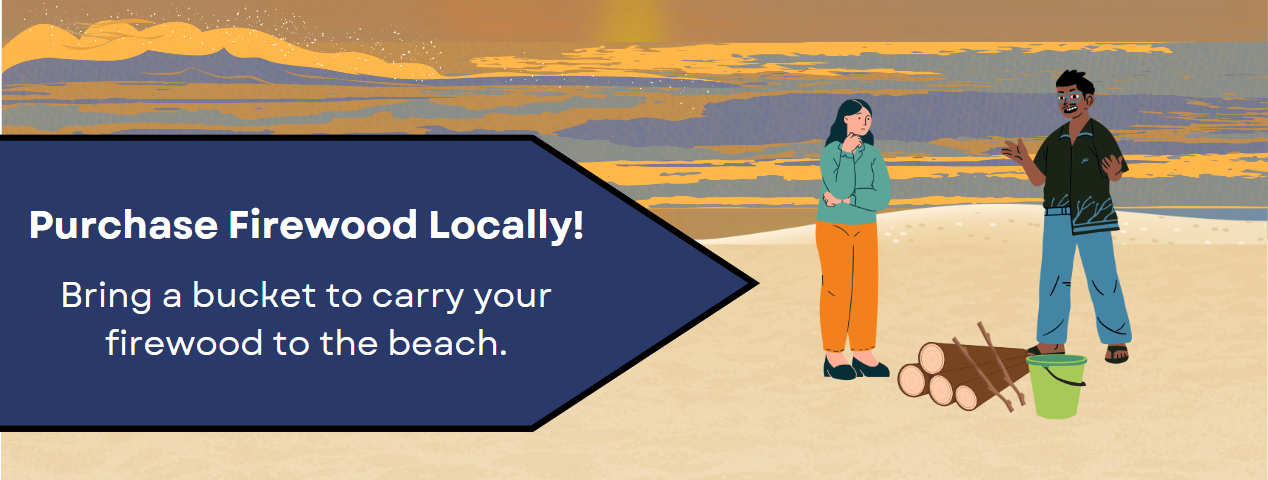 Beach Fire Etiquette 1 Infographic of two people standing on a beach with wood logs and a bucket. Text: Purchase Firewood Locally Bring a bucket to carry firewood to the beach.