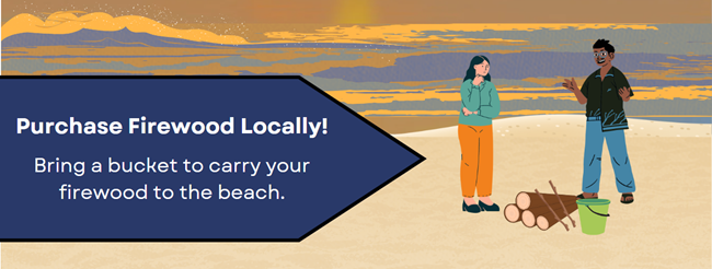 Beach Fire Etiquette 1 Infographic of two people standing on a beach with wood logs and a bucket. Text: Purchase Firewood Locally Bring a bucket to carry firewood to the beach.