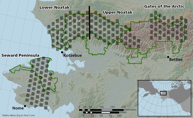 A map of brown bear survey areas in the Arctic Network. Black survey boxes cover each study area and green lines delineate each park, monument, and preserve boundary. The Seward Peninsula study area covers Bering Land Bridge National Preserve and a swath