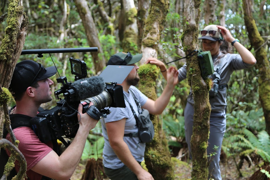 lt= A person with a large black video camera films two people installing a green song meter amongst trees and vegetation.