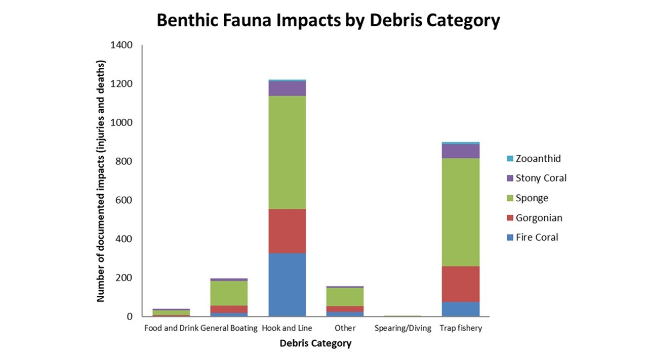 A bar graph of benthic fauna impacts by debris. On the y axis is the number of injuries and deaths ranging from zero to 1400. On the x axis are the categories of debris: food and drink, general boating, hook and line, other, spearing/diving, and trap fish